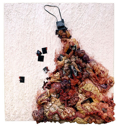 The decay of an instrument of intellectual technology: The Polaroid - a Sculpture & Installation Artowrk by Alessandro Merlanti 